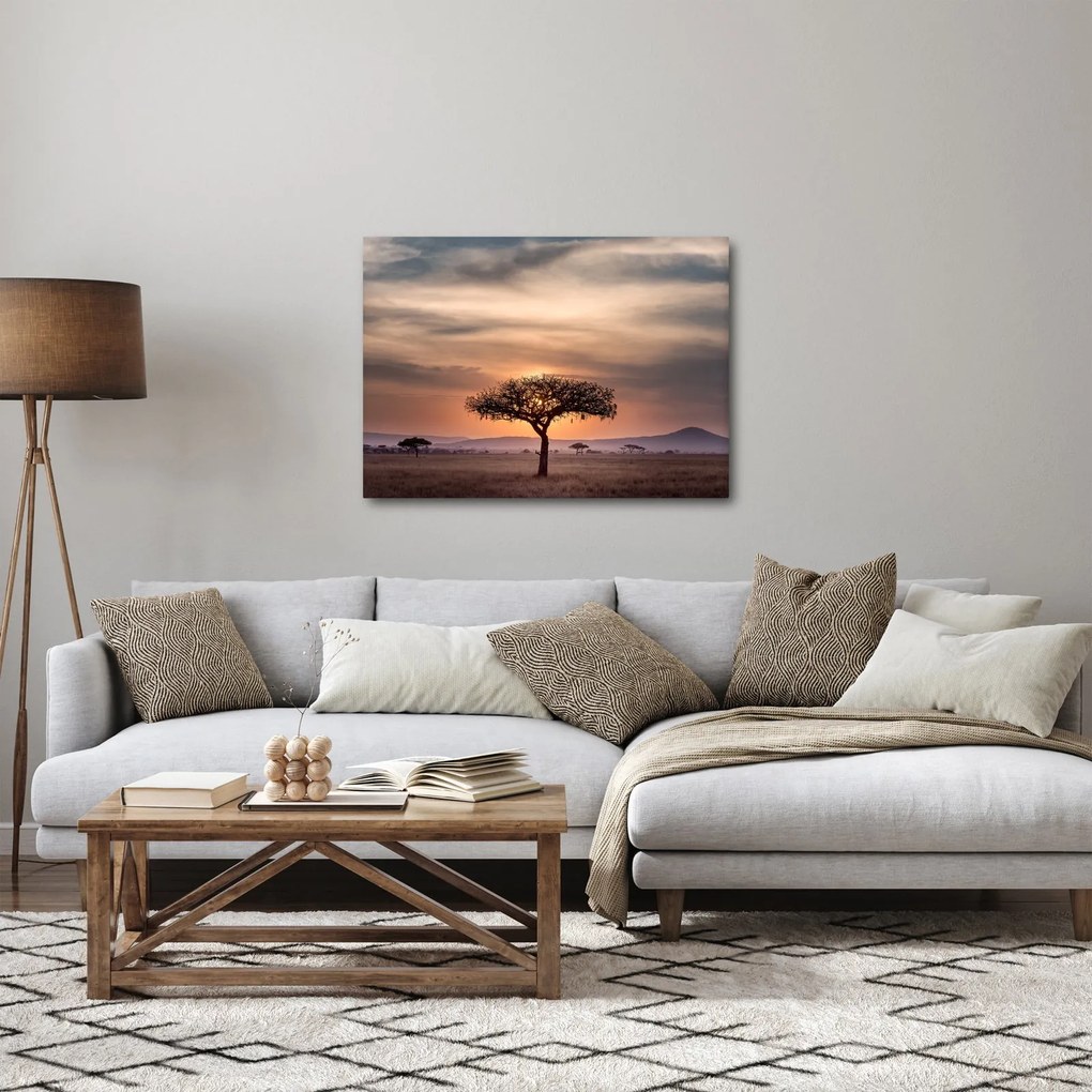 Tablou apusului de soare în Tanzania (70x50 cm)