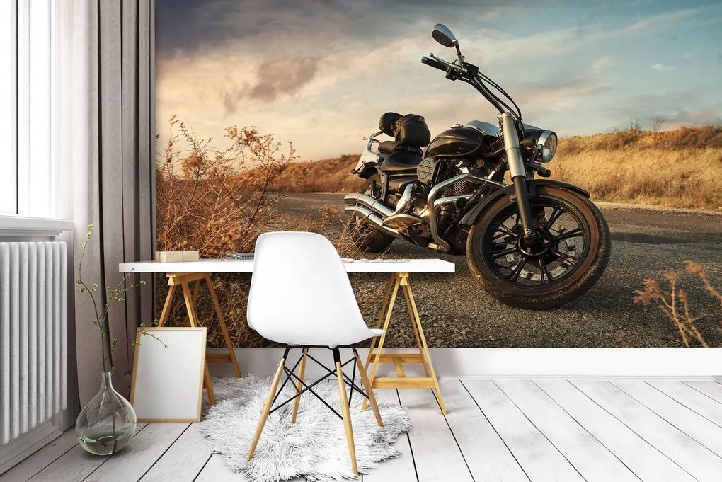 Fototapet - Motocicleta (254x184 cm)