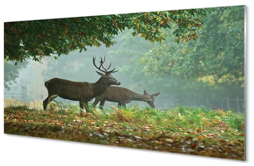 Tablouri acrilice pădure toamna Deer
