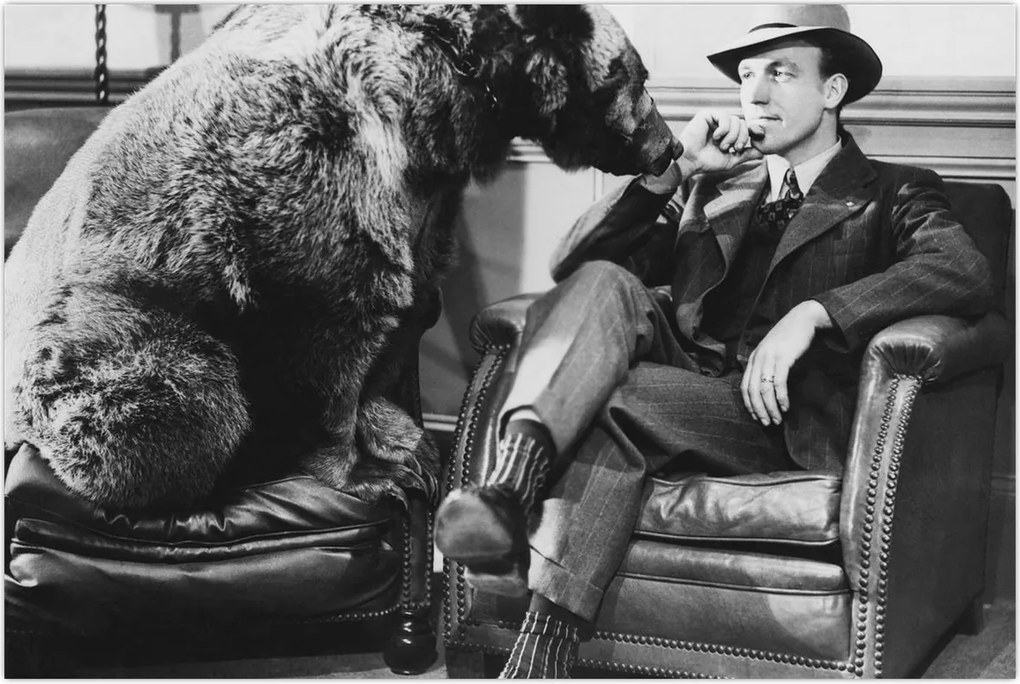 Tablou - Circ (90x60 cm)