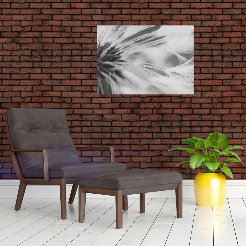 Tablou - Păpădie (70x50 cm)