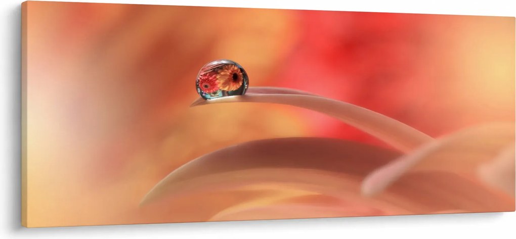 Tablou picăturii de rouă pe floare (120x50 cm)