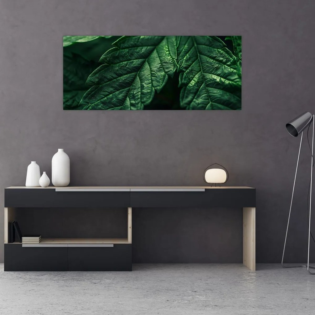 Tablou - Detaliu al foii (120x50 cm)