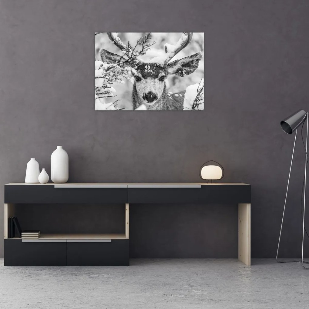 Tablou pe sticlă - Cerb în timpul iernii (70x50 cm)