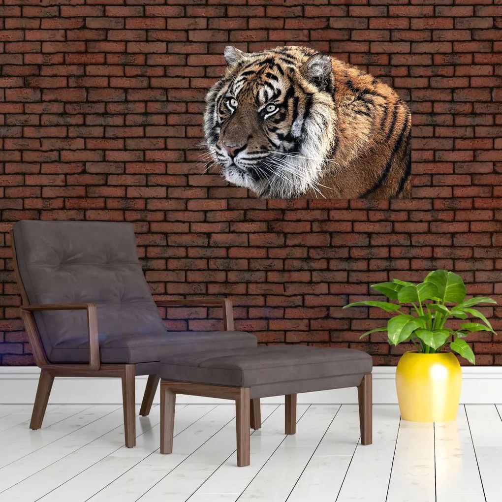 Tablou cu tigrul (90x60 cm)