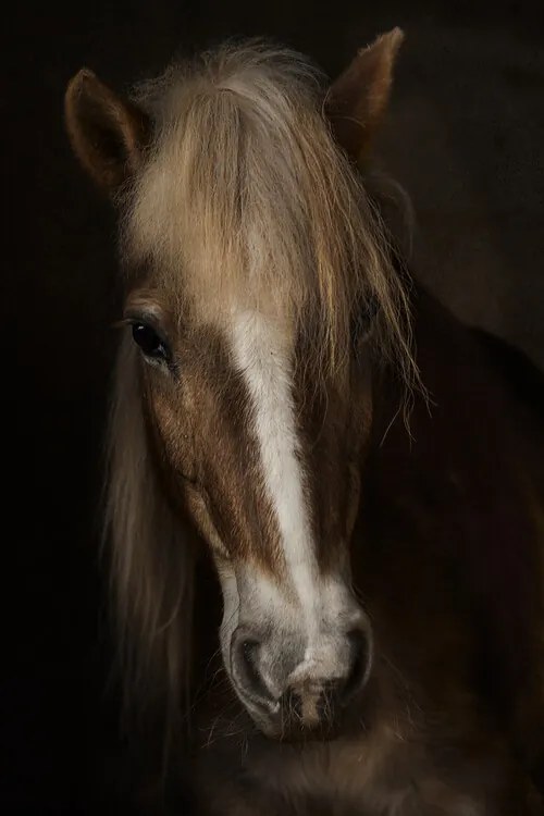 Fotografie Sapience, Martine Benezech