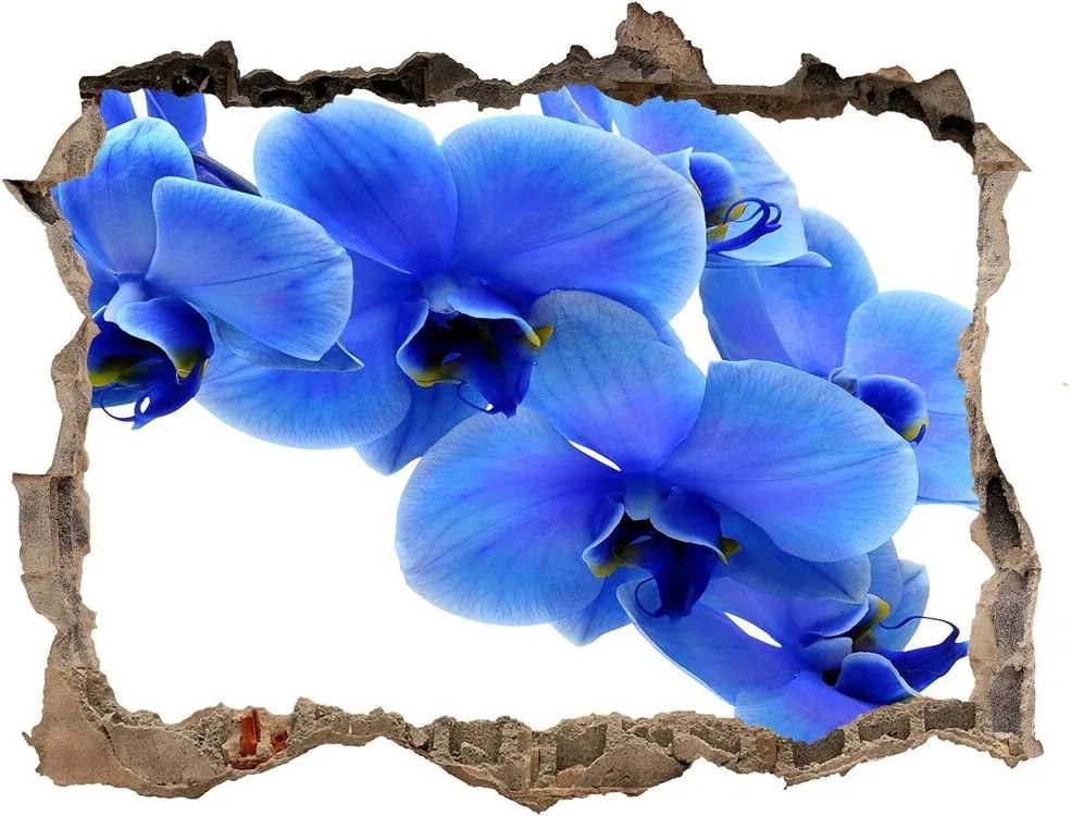 Autocolant autoadeziv gaură Albastru orhidee