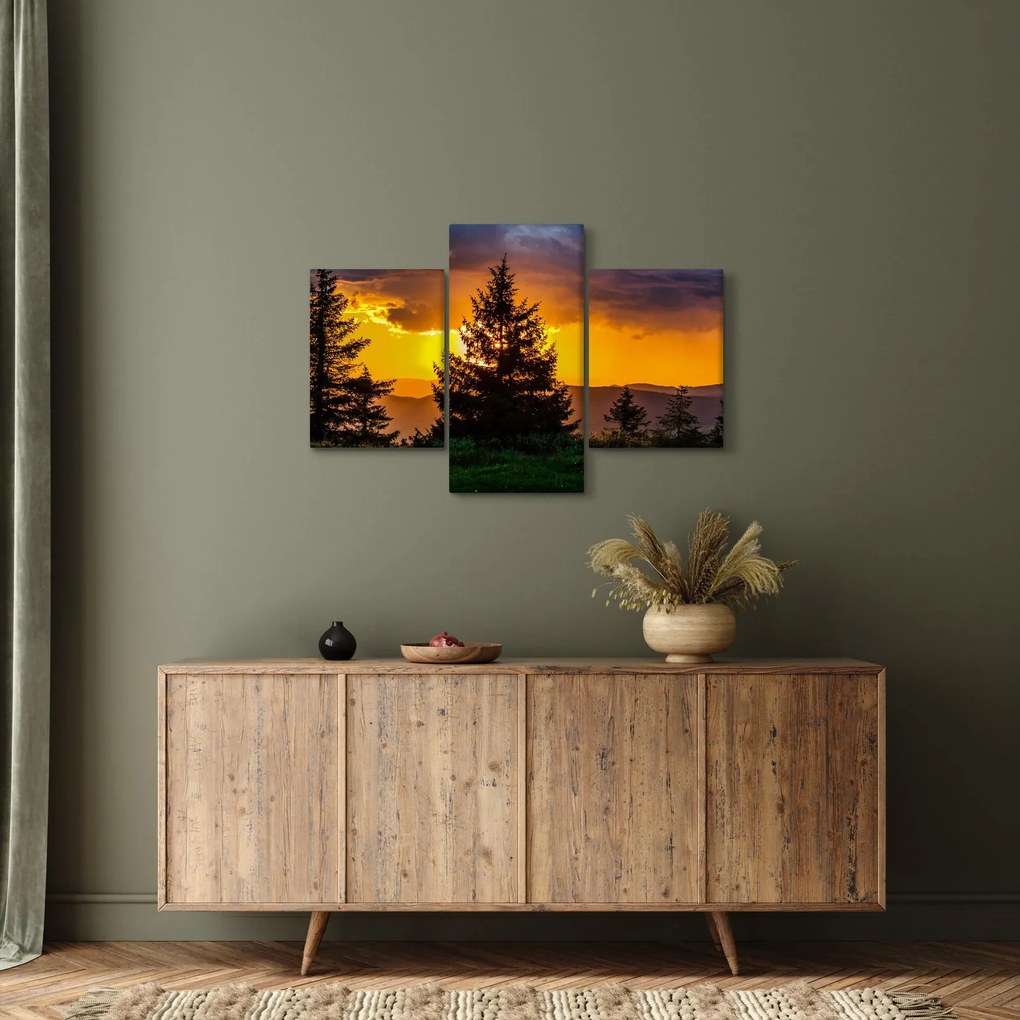 Tablou - coniferi (90x60 cm)