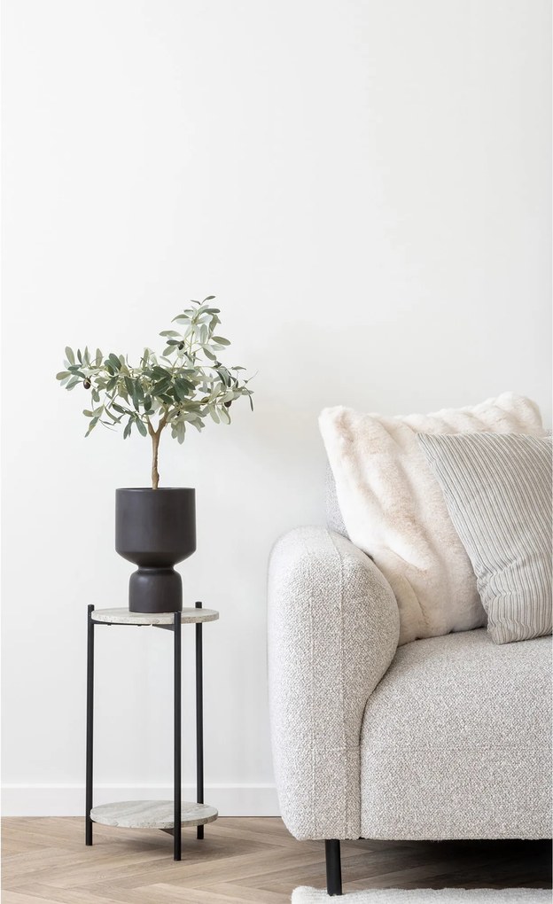 Măslin Oslavia 1 (verde). Promo -10%. 1147264