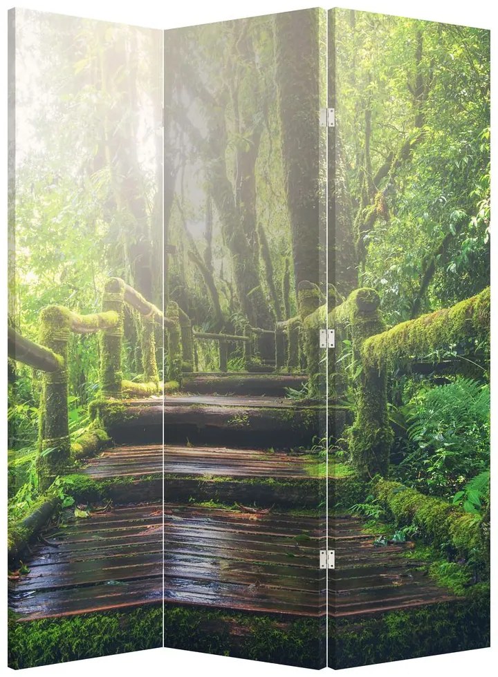 Paravan - Trepte din lemn în pădure (126x170 cm)