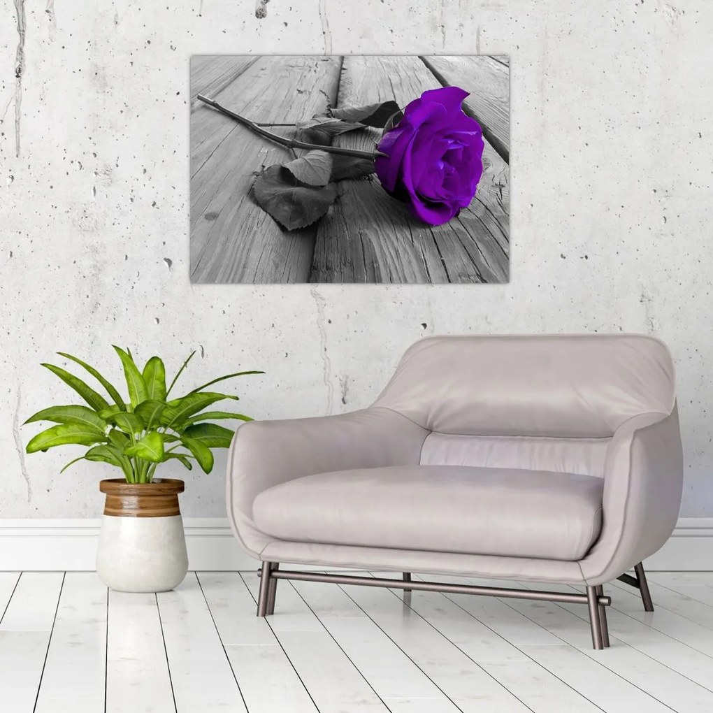 Tablou pe sticlă - Trandafir violet cu tulpina verde (70x50 cm)