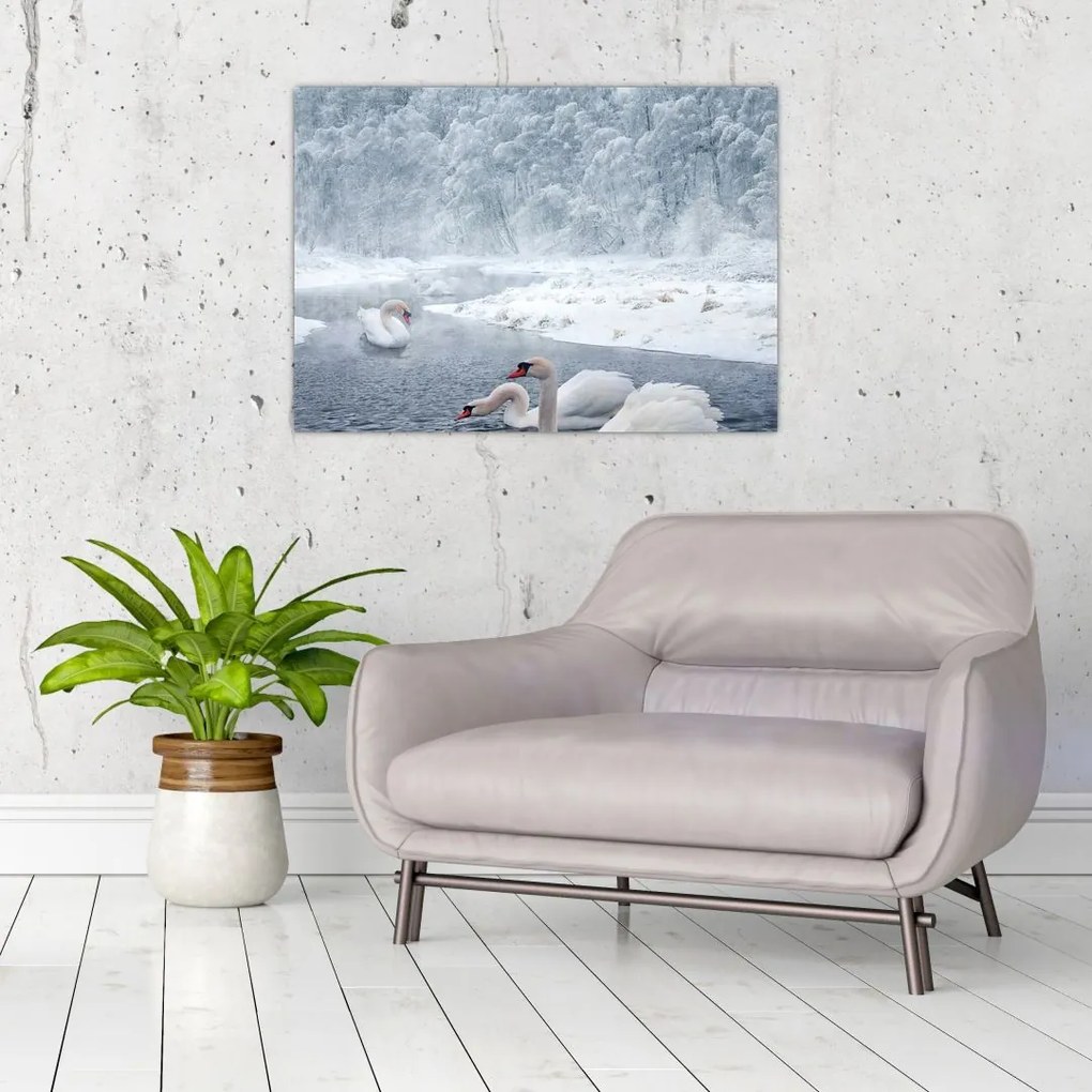 Tablou cu lebăde (70x50 cm)