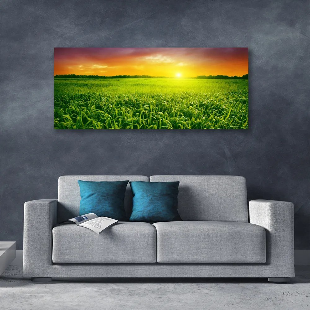 Tablou pe panza canvas Cereale Câmp Sunrise Floral Verde Roșu