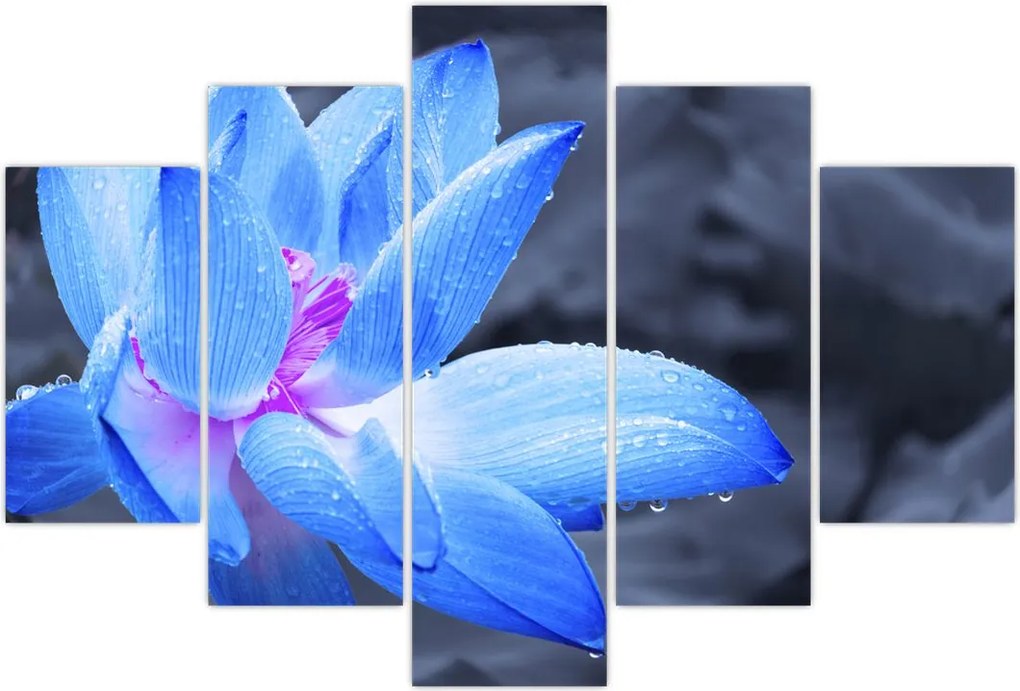 Tablou florilor în detailu (150x105 cm)