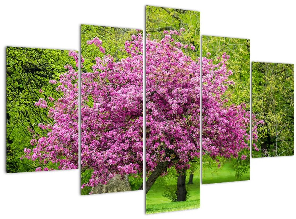 Tablou cu pom înflorit pe luncă (150x105 cm)