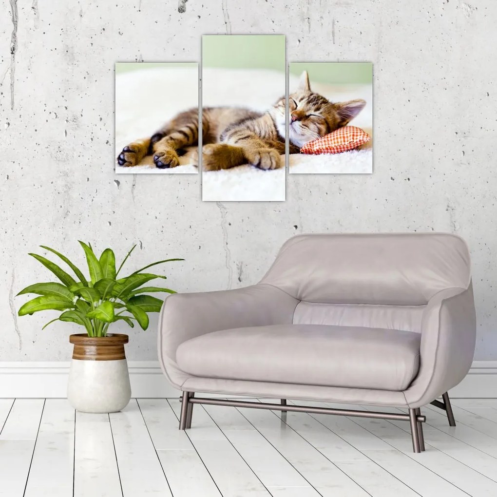 Tablou - Pisicuța adormită (90x60 cm)