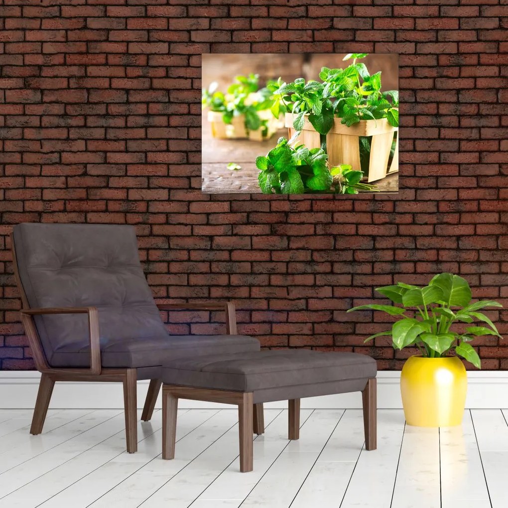 Tablou pe sticlă cu menta proaspătă (70x50 cm)