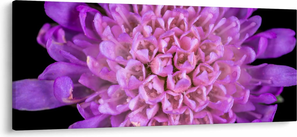 Tablou detailat cu floare (120x50 cm)