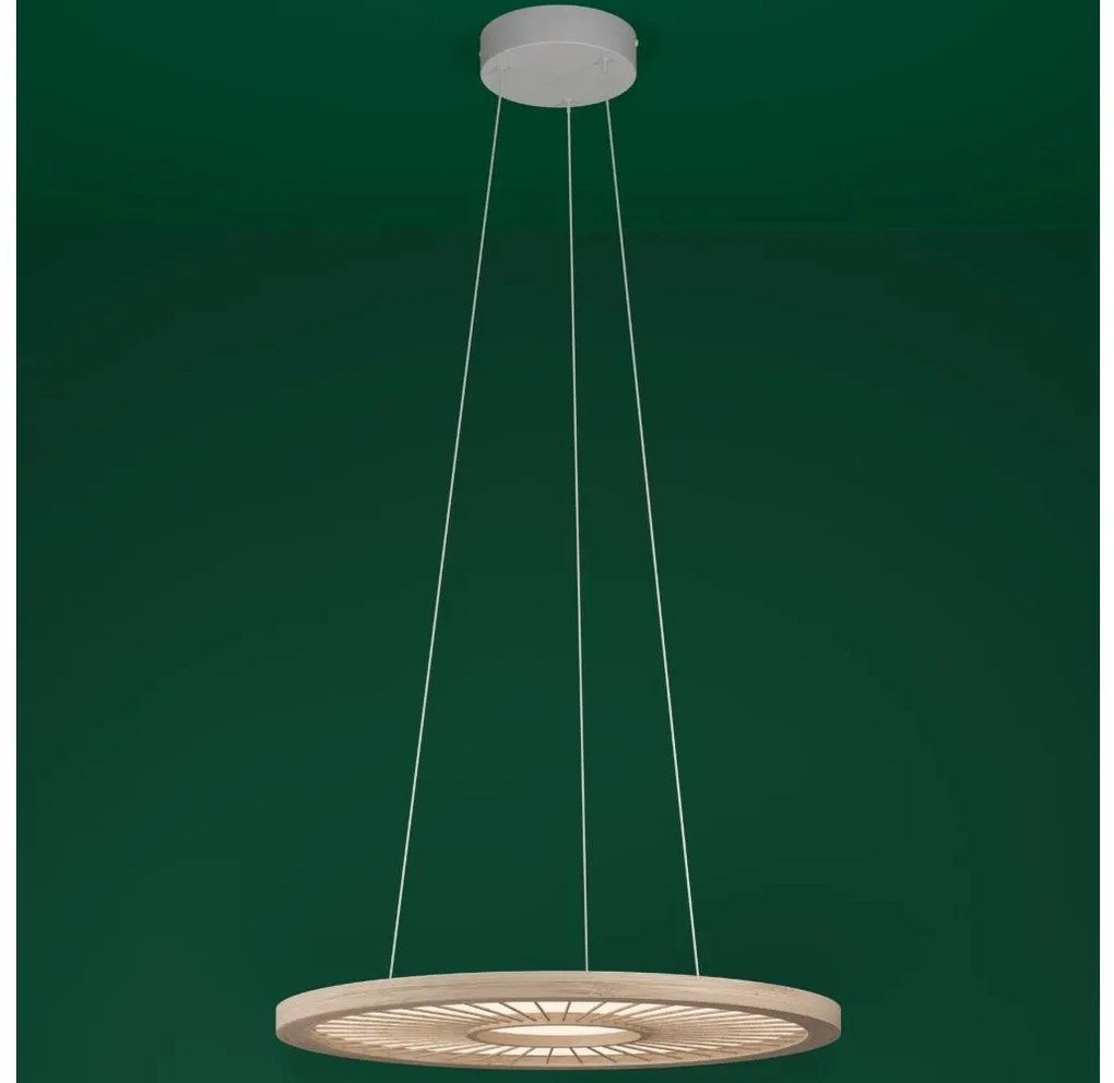 Lustră LED dimabilă pe cablu Eglo 390297 DEHESA LED/36W/230V 4000K