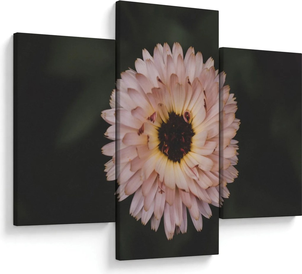 Tablou cu floare portocalie (90x60 cm)