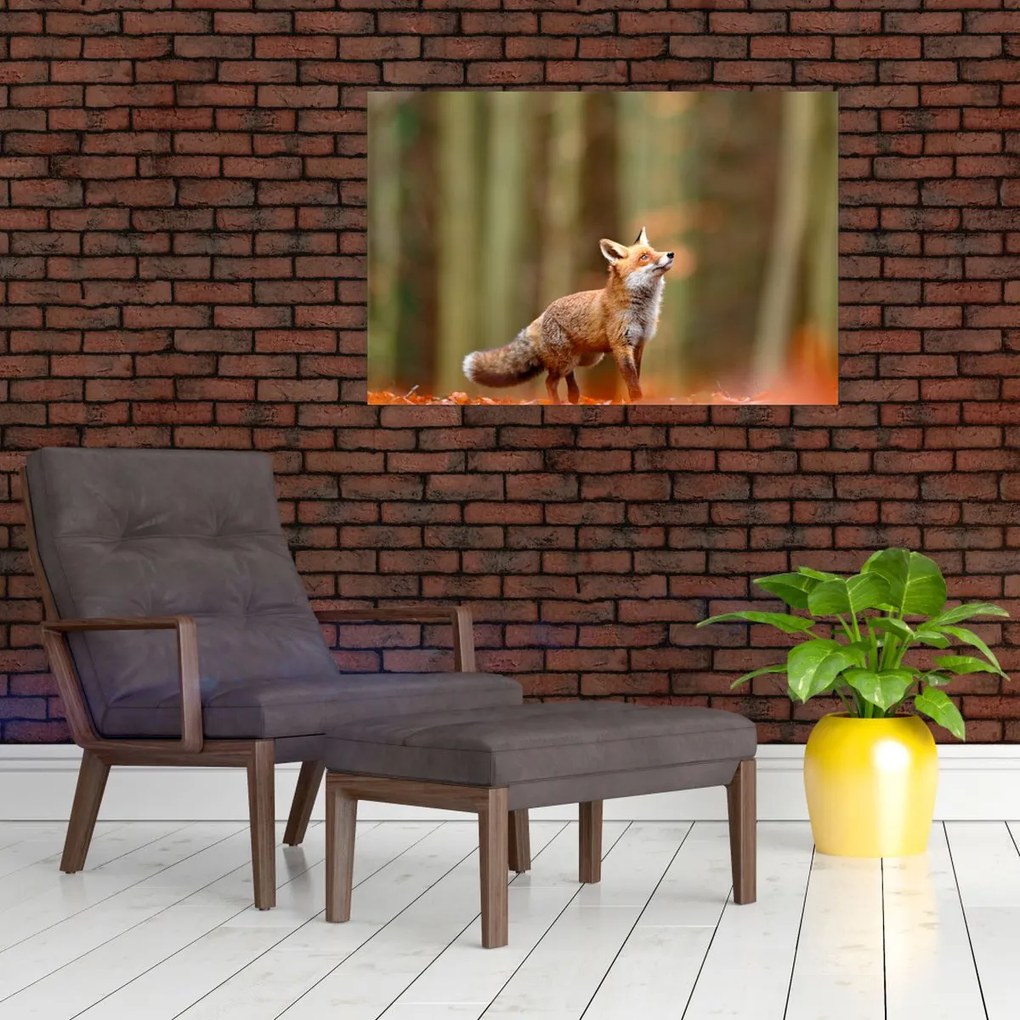 Tablou - Vulpe (90x60 cm)