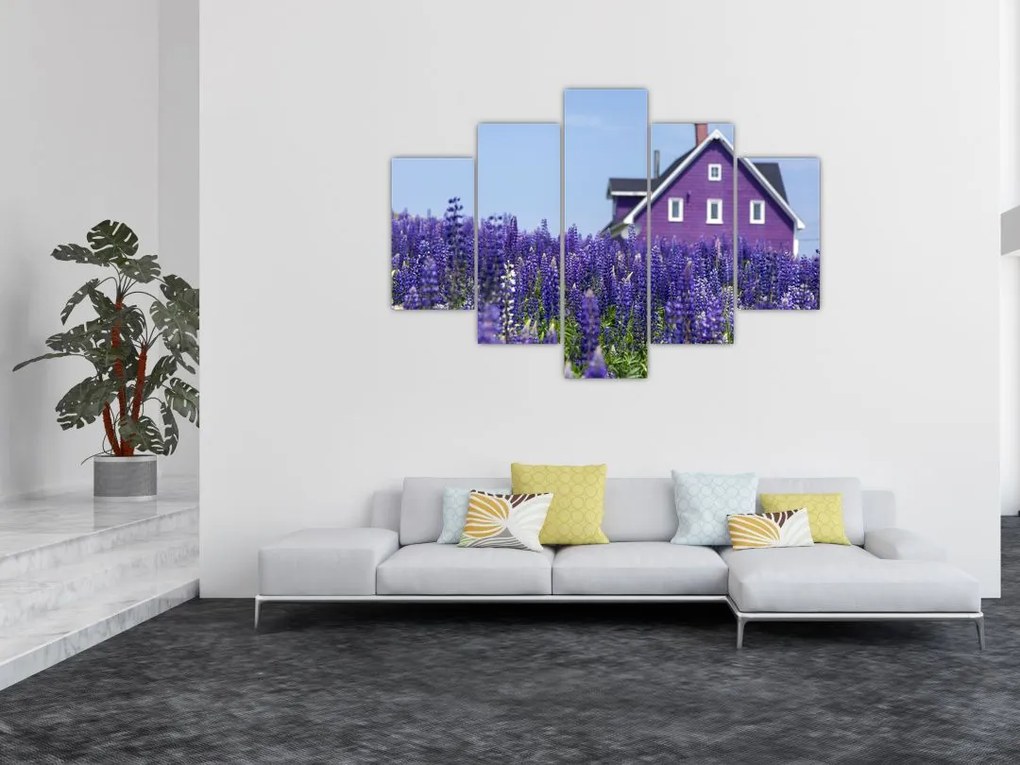 Tablou cu câmp de lavanda (150x105 cm)