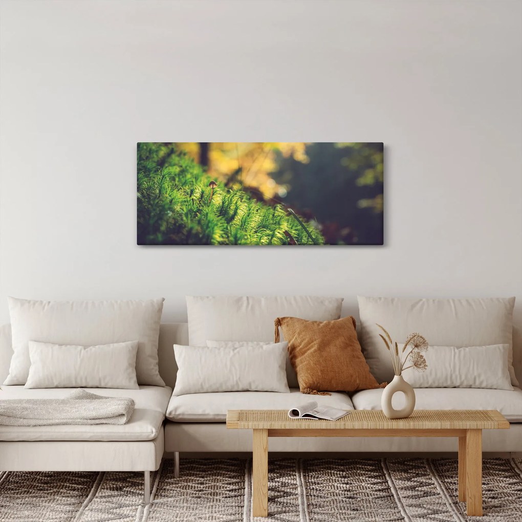 Tablou - Ciupercă și muschi (120x50 cm)