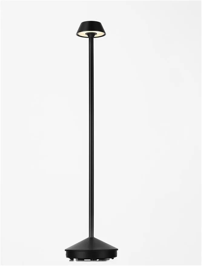 Lampadar/Lampa de podea LED de exterior IP65 ARION negru