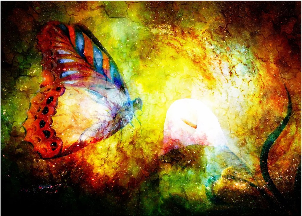 Tablou - Fluture spațial (70x50 cm)