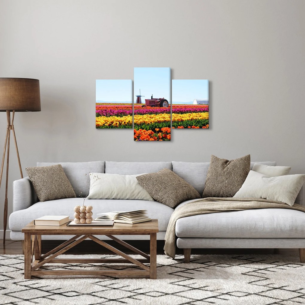 Tablou cu farma de lalele (90x60 cm)