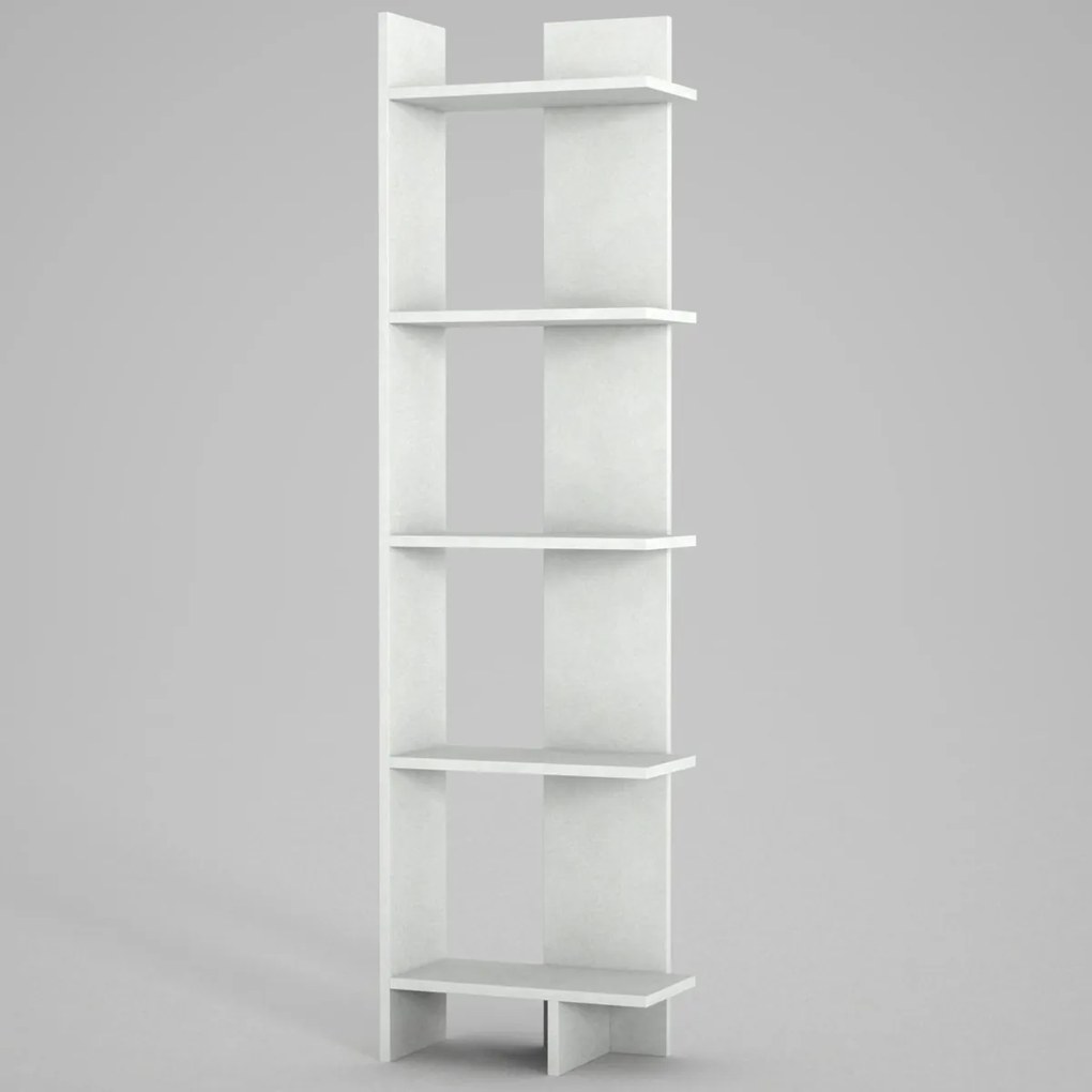Biblioteca Perla White