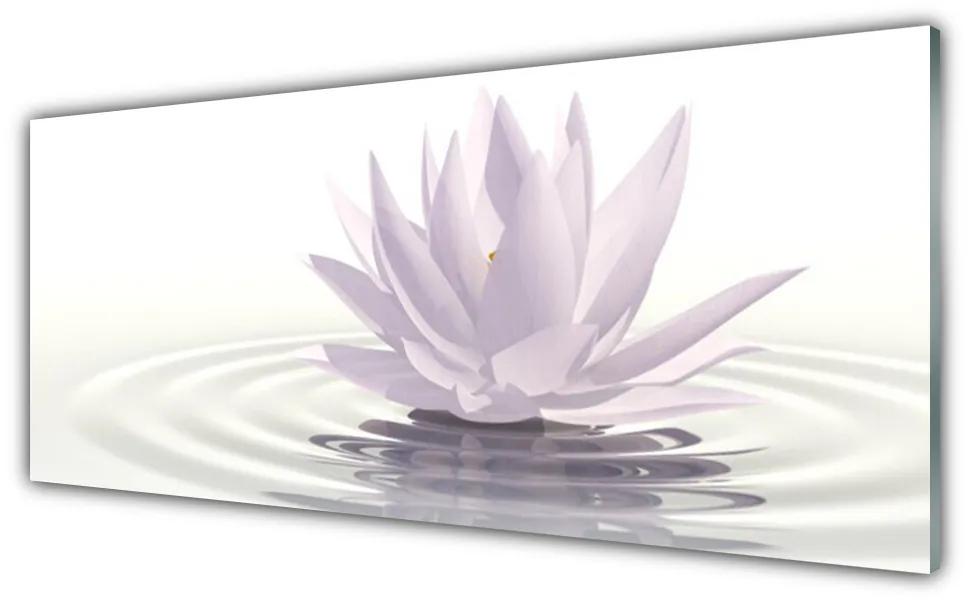 Tablouri acrilice Water Flower Art White