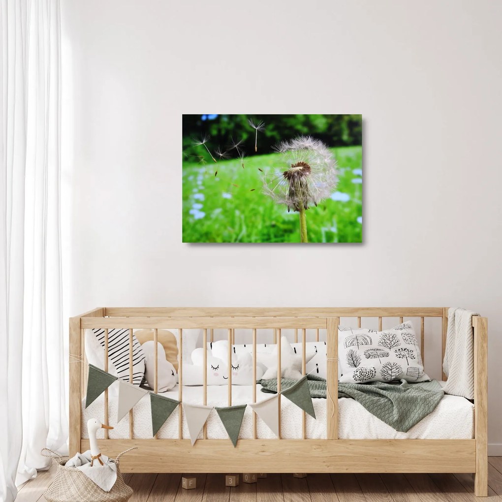 Tablou pe sticlă cu păpădie (70x50 cm)