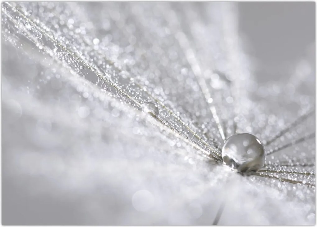 Tablou - Picătură de apă (70x50 cm)