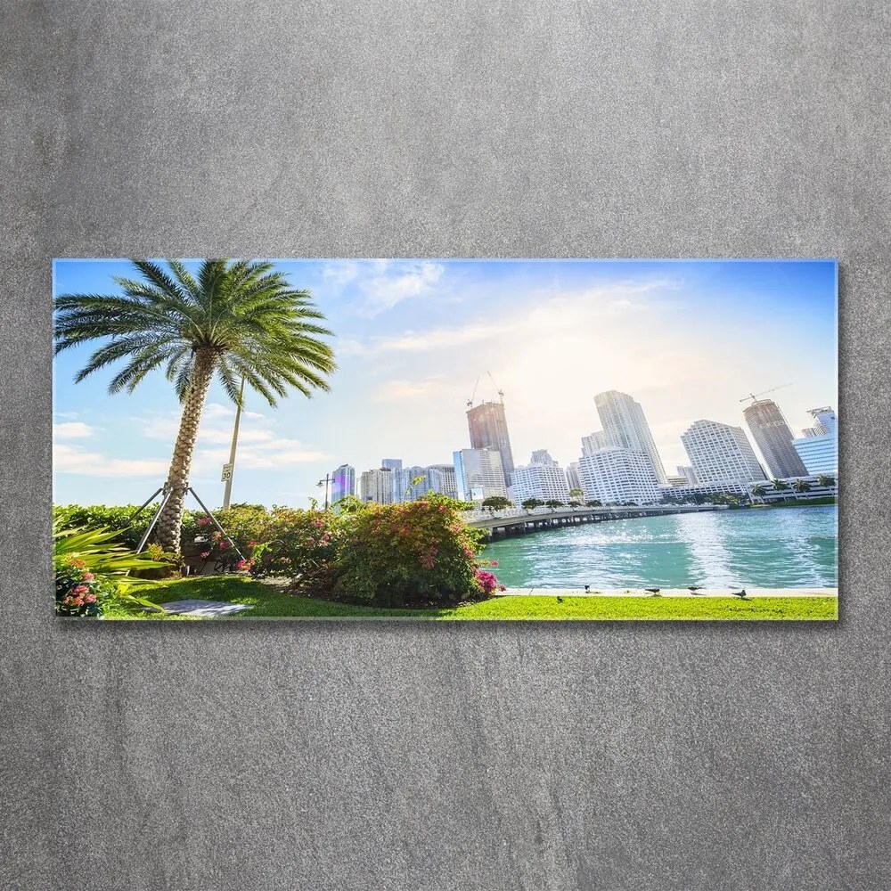 Tablou acrilic Miami statele unite ale americii