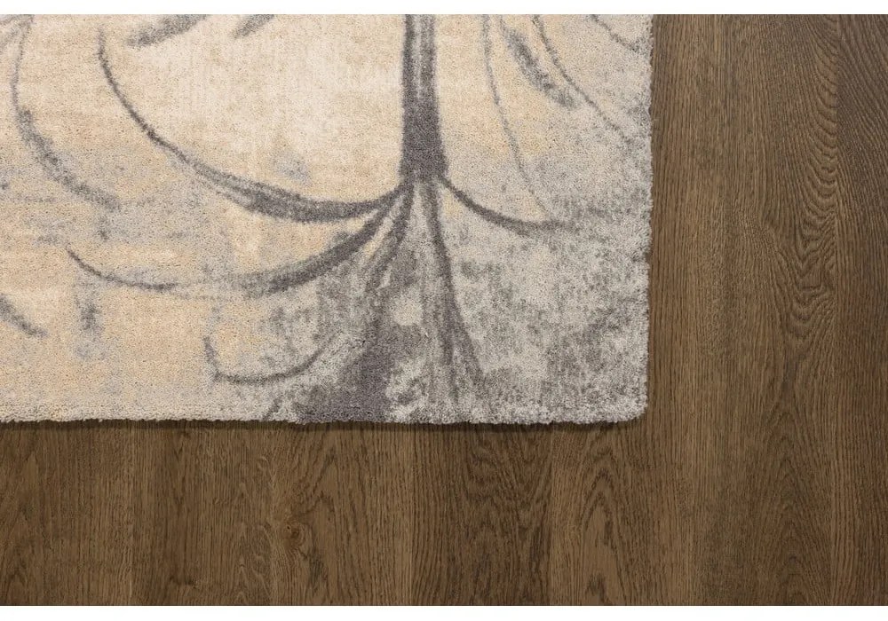 Covor crem din lână 300x400 cm Botany – Agnella