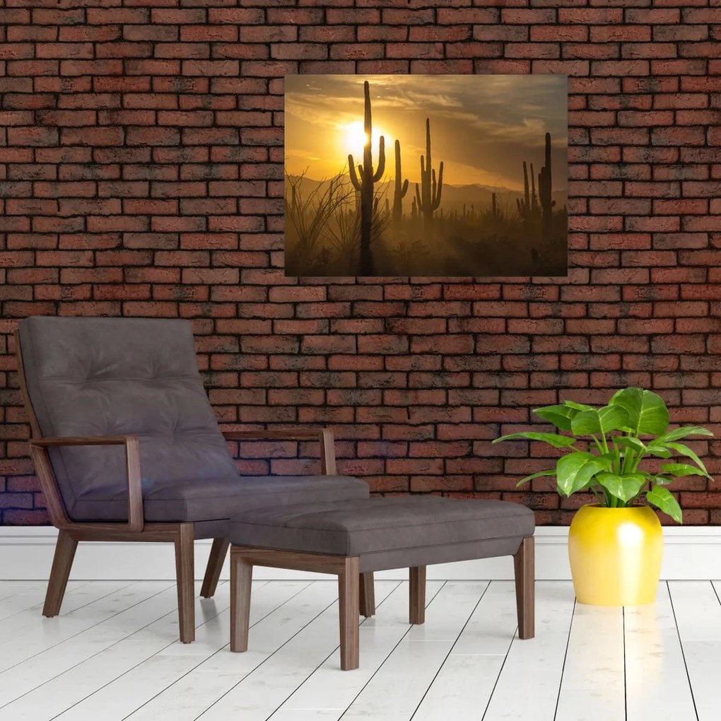 Tablou pe sticlă - Cactuși Saguaro (70x50 cm)