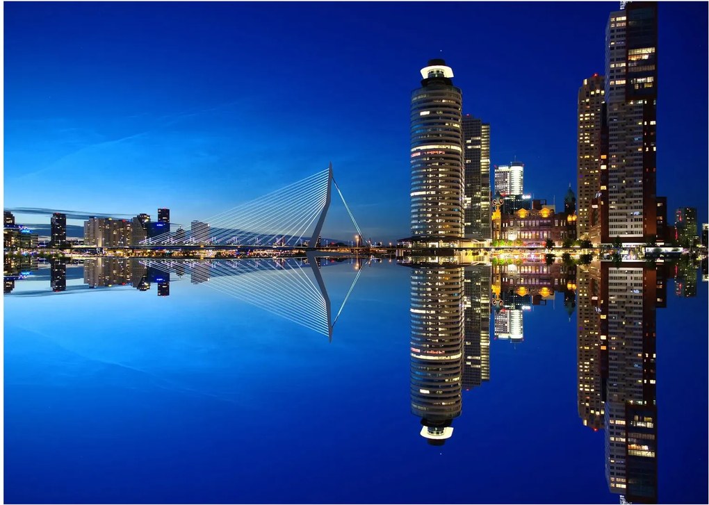 Tablou - Rotterdam nocturn (70x50 cm)