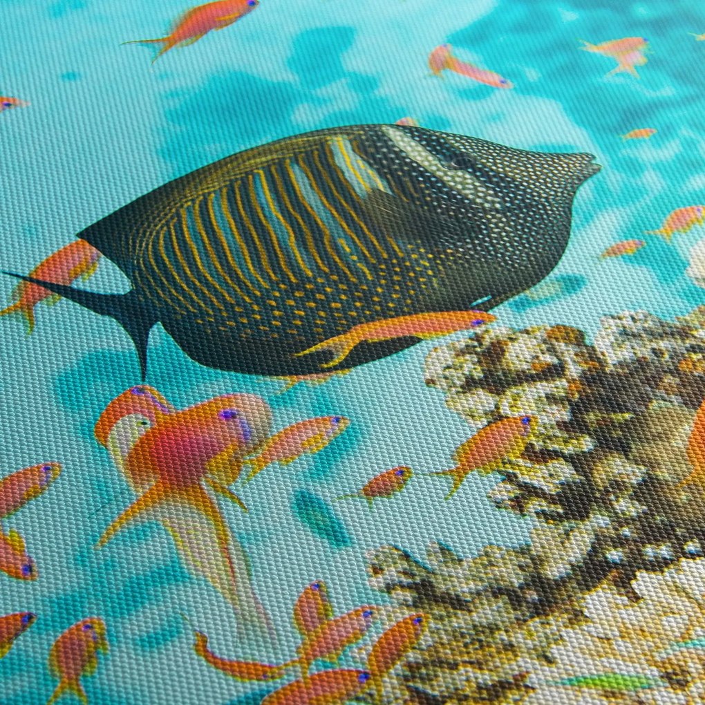 Tablou lumii submarine (150x105 cm)