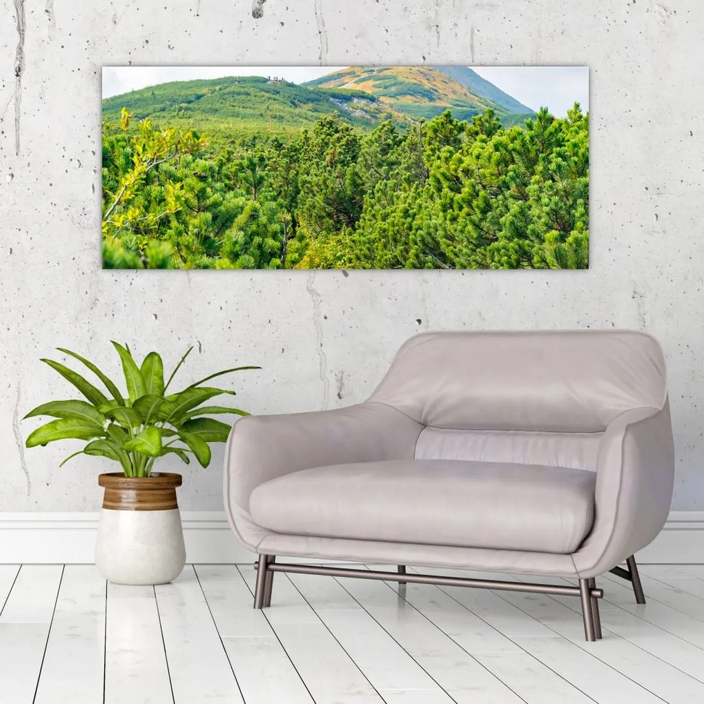 Tablou - Babi Hora, Polonia (120x50 cm)