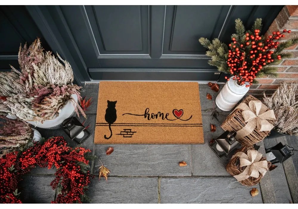 Covoraș de intrare din fibre de nucă de cocos 40x70 cm Kitty Home – Hanse Home