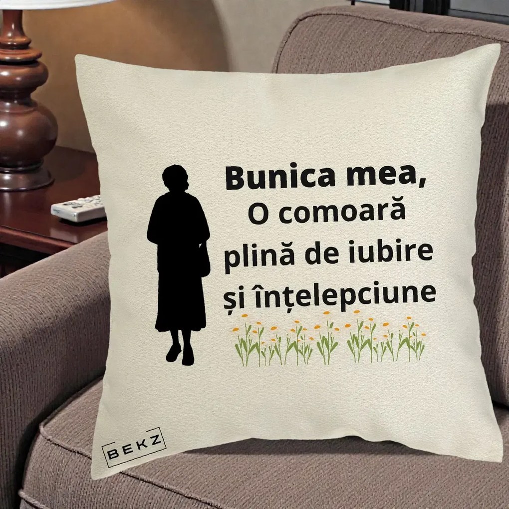 Cadou pentru Bunica - Perna Personalizata Bunica Mea Comoara Iubire Intelepciune Silueta cu Nepoata, 40x40 cm, Ecru, Husa Detasabila, Perna Inclusa, BEKZ®