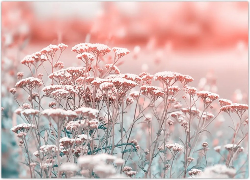 Tablou - Flori de câmp (70x50 cm)