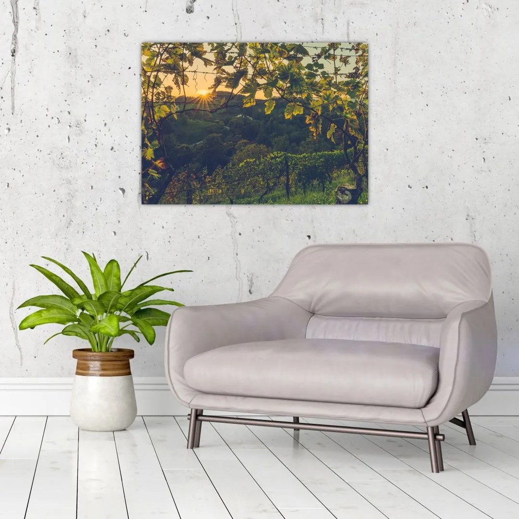 Tablou - Podgorii (70x50 cm)