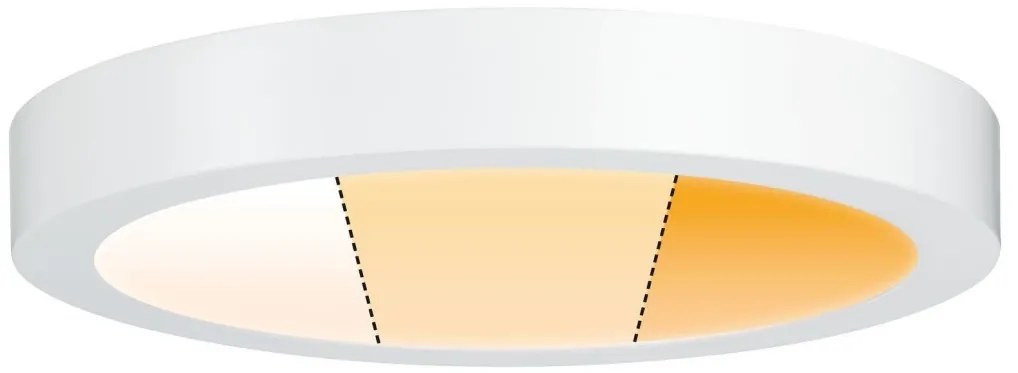 Plafonieră LED/19W Paulmann 79799 CARPO 230V 2300/2500/3000K