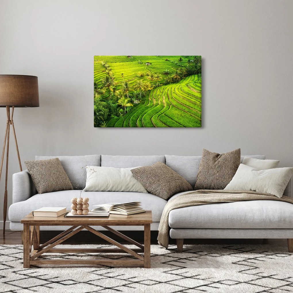Tablou - Terase de orez (90x60 cm)