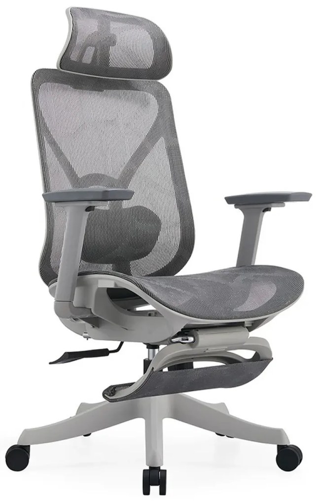 Scaun ergonomic DORO-HG-MF, pivotant, suport lombar 2D, tetiera 2D, cotiera 3D, suport picioare, reglare pe inaltime, mecanism inclinare/blocare in 3 pozitii, Mesh, Gri