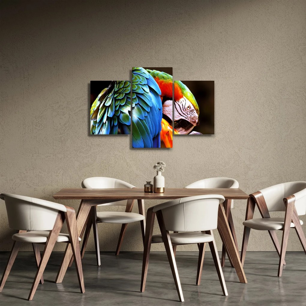 Tablou - Papagal (90x60 cm)