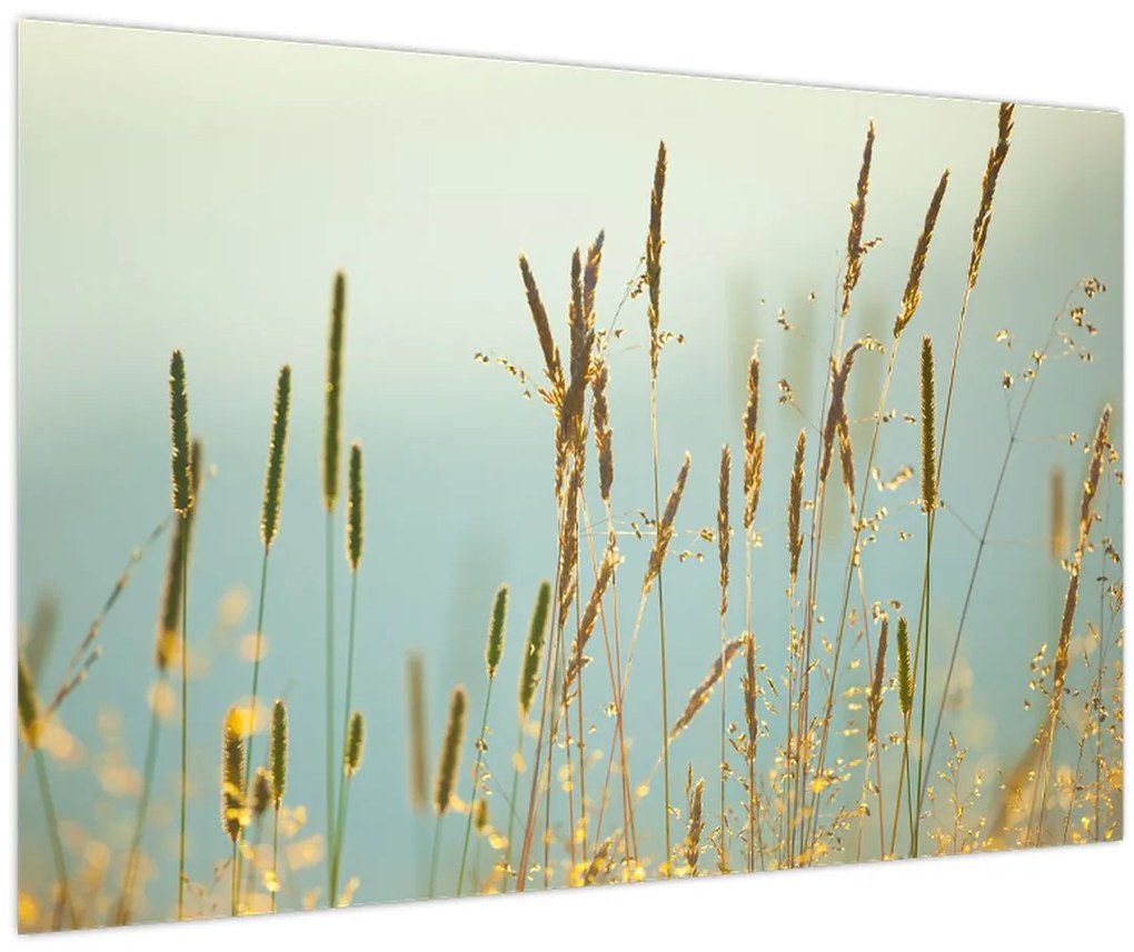 Tablou - Luncă (90x60 cm)