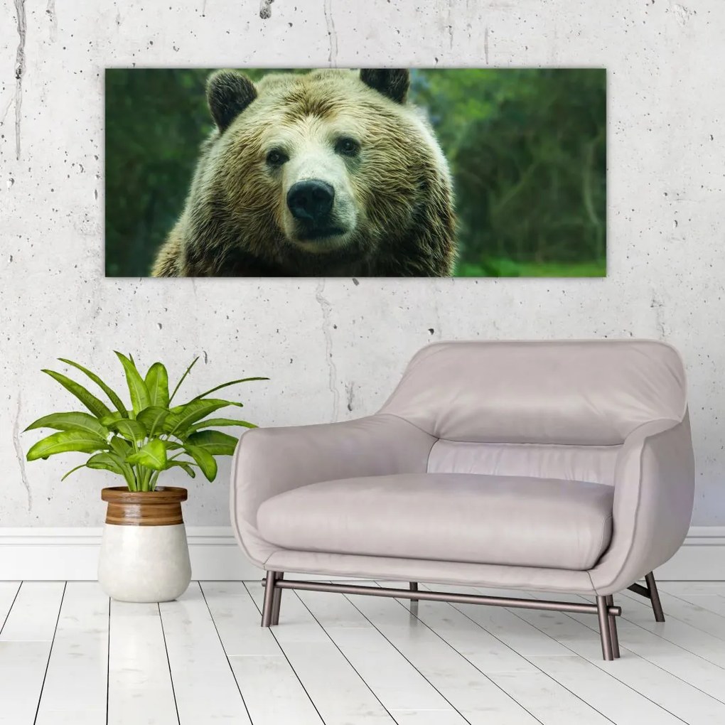 Tablou cu ursul (120x50 cm), în 40 de alte dimensiuni noi